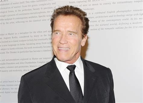 Schwarzenegger Had Maria Shriver Erased From His Official Portrait