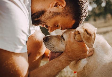 Dogs More Attractive 4 Studies That Prove Why Men Should Own A Dog