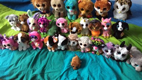 My Beanie Boo Collection Updated 2020 Youtube