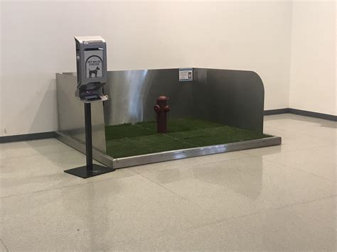 This Pet Relief Station In The Middle Of The Charlotte Airport