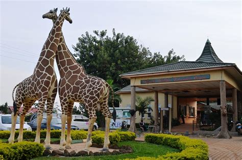 Uganda Wildlife Education Centre African Pearl Safaris