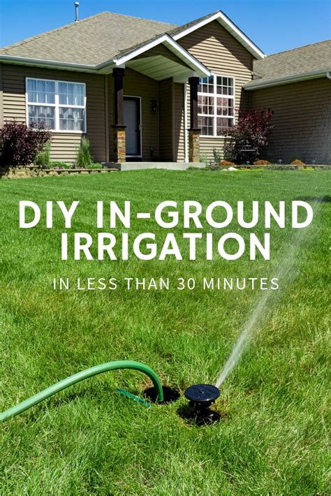 No trivia or quizzes yet. DIY In-Ground Irrigation in Less Than 30 Minutes - Gardening Know How's Blog