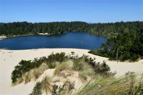 19 Incredible Things To Do In Florence Oregon Sand Dunes Beach More