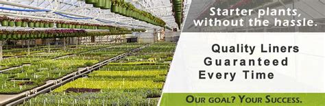 North Carolina Farms Inc Wholesale Starter Plants