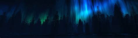 Panoramic Photography Of Trees During Night Time Hd Wallpaper