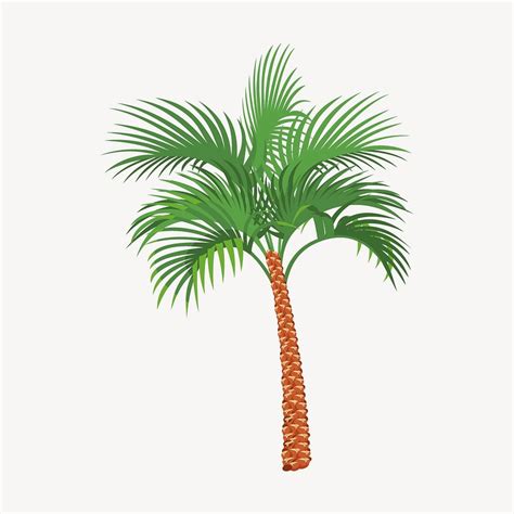Coconut Tree Clipart Tropical Plant Free Psd Rawpixel
