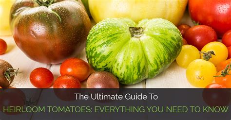 The Ultimate Guide To Heirloom Tomatoes Everything You Need To Know