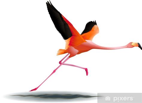 Flying Flamingo Wall Mural Pixers We Live To Change