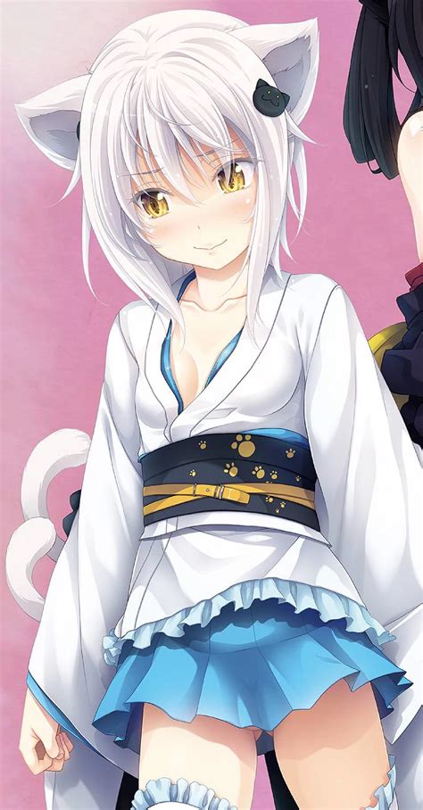 Koneko Toujou Highschooldxd Wiki Fandom