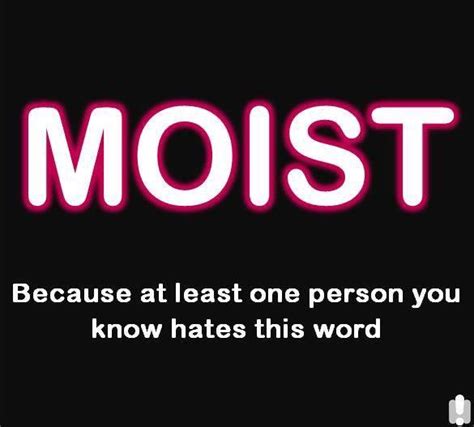 sarah mckibbin on twitter hate my favourite word moist k6qm7vnqzr