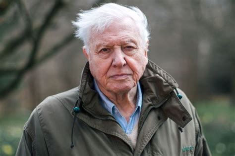 David attenborough , in full sir david frederick attenborough , (born may 8, 1926, london , england), english broadcaster, writer, and naturalist noted for his innovative educational television. David Attenborough admits he hasn't got long left to live ...