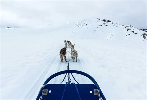 You Can Go Dog Sledding On A Glacier In Alaska — And Meet The Teams