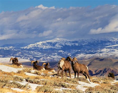 7 Gorgeous Mountain Towns In Wyoming Worldatlas