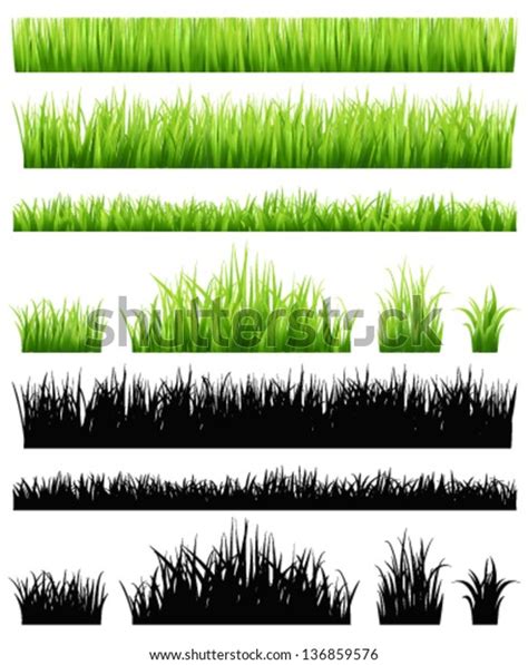 Green Grass Collection Stock Vector Royalty Free 136859576