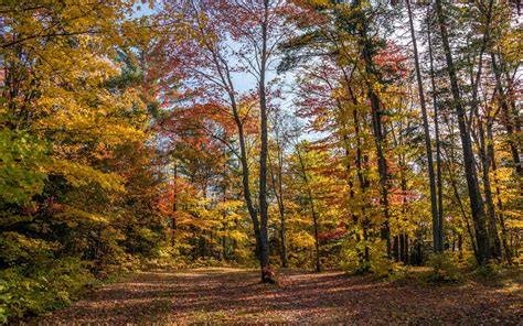 233 Ontario Fall Foliage Ive Been Bit Travel Blog