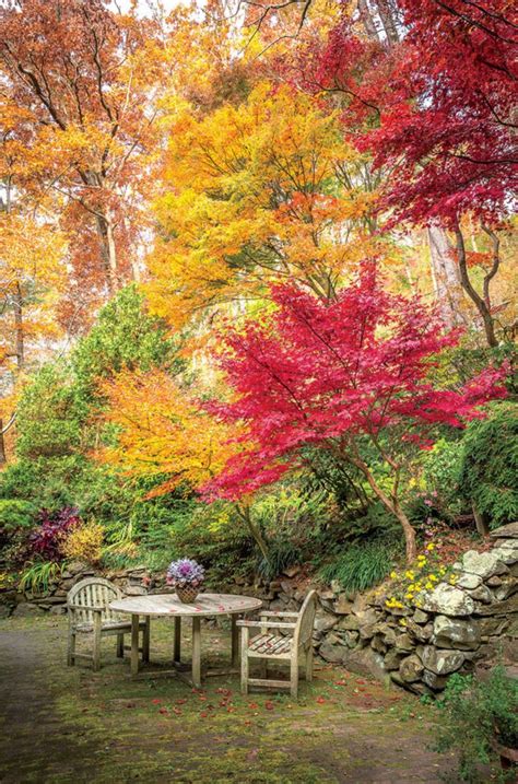 10 Incredibly Inspiring Fall Flower Gardens Autumn Garden Beautiful