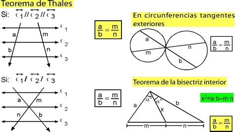 Teorema De Thales Y Semejanza De Triángulos Ejercicios Resueltos De