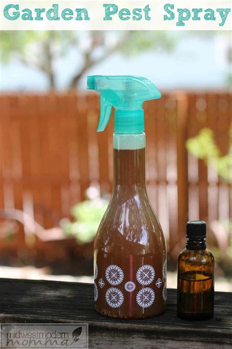 How to make a natural insect repellent for adults, kids and pets? Natural Pest Control Spray For Your Garden | Midwest Modern Momma