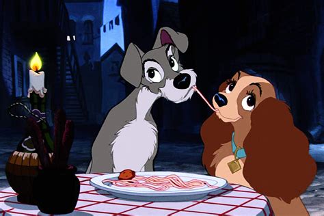 How did lady and the tramp get its name? Dit zijn de hondjes die meespelen in de live-actionremake ...