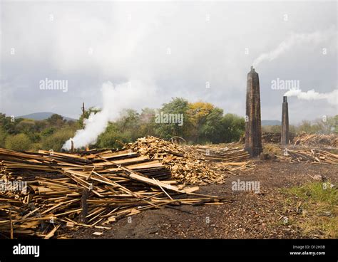 Deforestation And Pollution Stock Photo Alamy