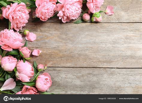 Beautiful Fragrant Peony Flowers Wooden Background — Stock Photo
