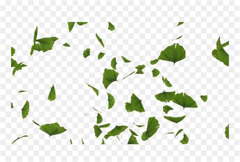 Browse and download hd falling green leaves png images with transparent background for free. Green Leaves Falling Transparent, HD Png Download - vhv
