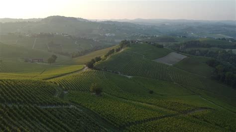 Vineyard Agriculture In Barolo Aerial View In Langhe Piedmont 15241132