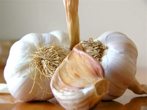 Garlic Cooking Tips All About Garlic Peg S Home Cooking