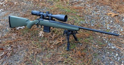 This Is The Ruger American Predator Rifle How Good Is It The