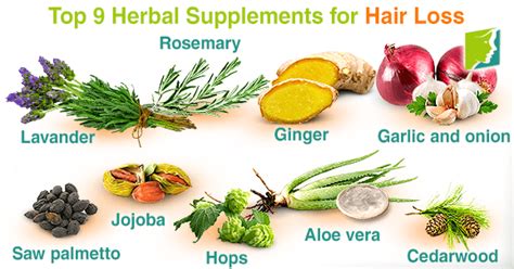 Top 9 Herbal Supplements For Hair Loss