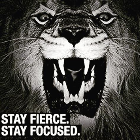 Stay Fierce Stay Focused Hit Those Workouts And Give It Your All The