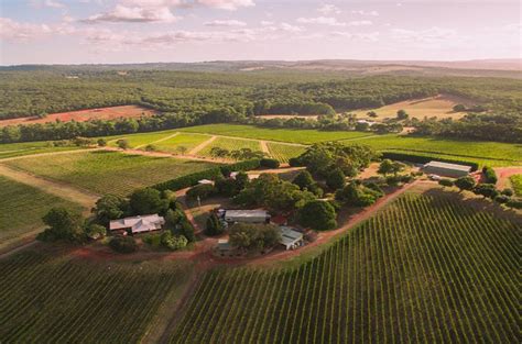 Treasury Wine Estates Acquires 55 Hectare Yarra Valley Vineyard From