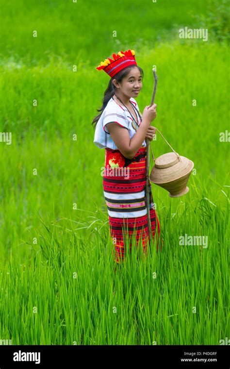 Banaue Philippines May 02 Woman From Ifugao Minority Near A Rice