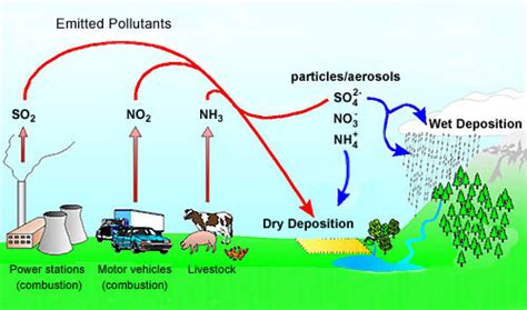 Starters Guide To Air Pollution And Pollution Sources Air Pollution