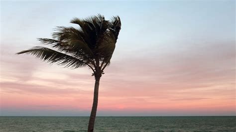Orlando Area To See Windy Day
