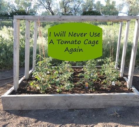 27 Diy Tomato Cage Trellis And Stake Ideas Balcony Garden Web