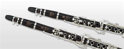 Ycl Sevrsevr A Overview Clarinets Brass And Woodwinds Musical