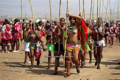 Photos And Pictures Of Zulu Maidens Deliver Reed Sticks To The King