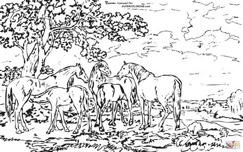 Detailed Landscape Coloring Pages For Adults - Part 5
