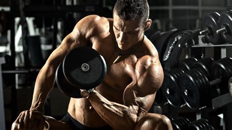 serie 21 de bíceps y tríceps para tu entrenamiento de brazos mui gimnasio