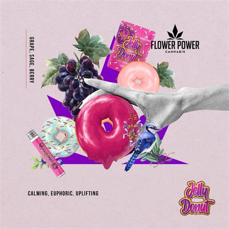 Jelly Donut — Flower Power Cannabis