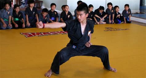 Traditional Vietnamese Martial Arts History Sects Characteristics