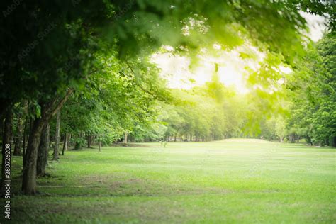 Nature Of Green Park On Blurred Greenery Background In Garden Using As