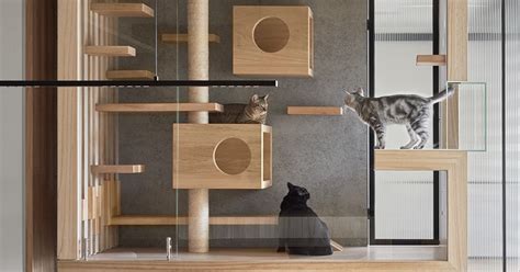 Modern Cat Furniture Provides Luxury Lounge Room For Fancy Felines
