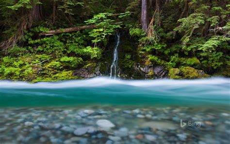 Snoqualmie National Forest Washington 2016 Bing Desktop Wallpaper