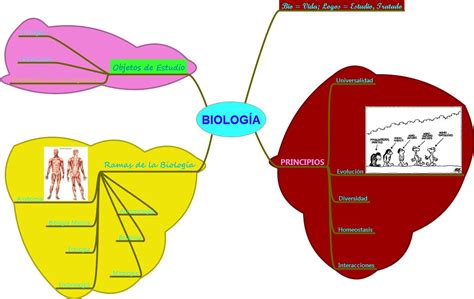 BiologÍa Mapa Mental Sobre La Biología