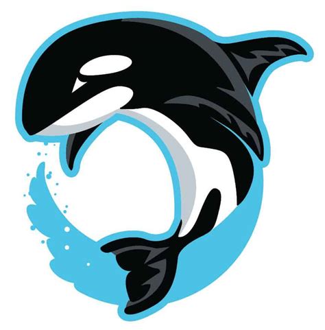 Orca Logo Design 2 Mascot Junction