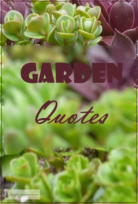 Garden Quotes Funny Punny Witty And Whimsical