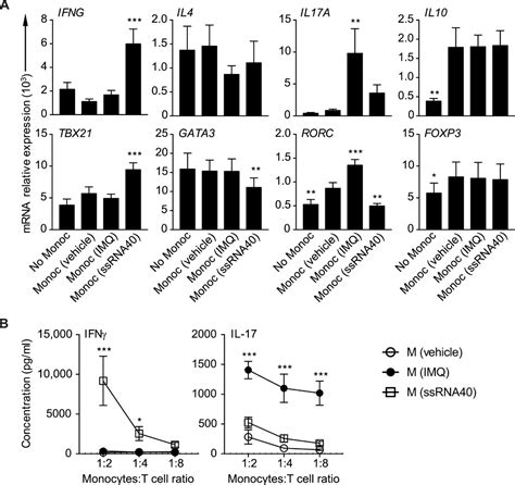 Tlr7 And Tlr8 Activate Distinct Pathways In Monocytes During Rna Virus