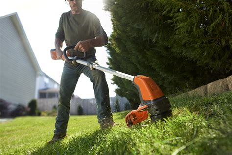 Dominate Spring 5 Easy Steps To Wake Up Your Lawn Susan Brewer